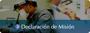 Declaración de Misión