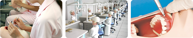 Learning & Experience