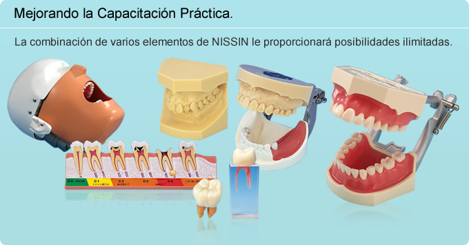 Mejorando la Capacitación Práctica.La combinación de varios elementos de NISSIN le proporcionará posibilidades ilimitadas.