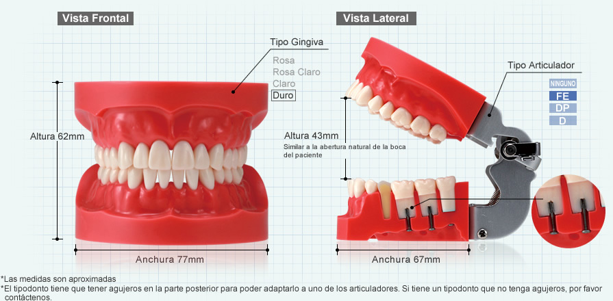 Vista Frontal & Vista Lateral