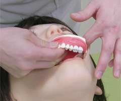 Las partes consumibles son fáciles de reemplazar