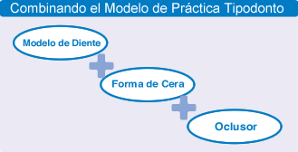Combining the Typodont Practice Model