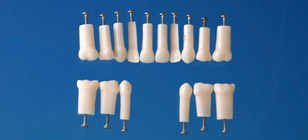 Modelo de Diente de Raíz Sencillo (Dientes Primarios) [A4A-900]