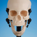 Posición Máxima Abierta