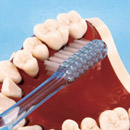 Demostración del cepillado