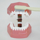 Técnica de Cepillado