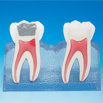 MODELO DE EDUCACIÓN DEL PACIENTE [PE-PRO004]