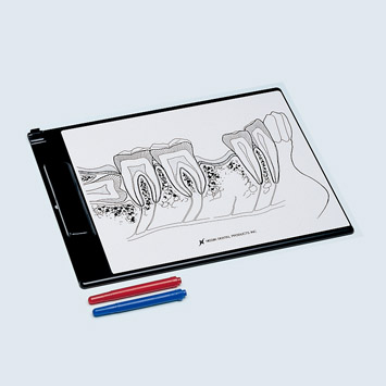 PIZARRA BLANCA PARA EDUCACIÓN DE PACIENTE [PE-ANA007]