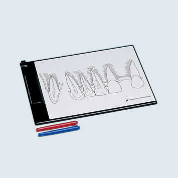 PIZARRA BLANCA PARA EDUCACIÓN DE PACIENTE [PE-ANA008]