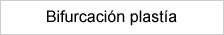 Bifurcación plastía
