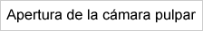Apertura de la cámara pulpar