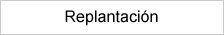 Replantación