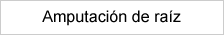 Amputación de raíz