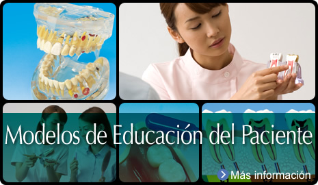 Modelos de Educación del Paciente