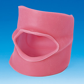 Type 2 Oral Cavity Cover