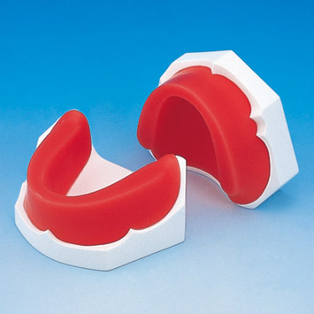 Plaster Edentulous Model with Wax Rim [NC Series]