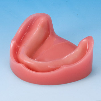 Implant Practice Jaw Model [IMP1006-L-SP]