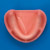 Implant Practice Jaw Model [IMP1006-L-SP]