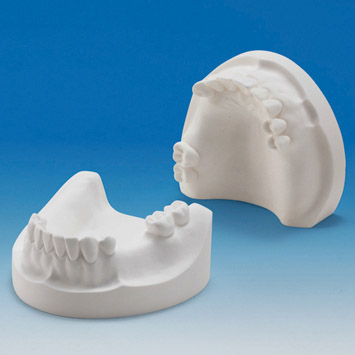 Plaster Jaw Model [MIS-PL Series]