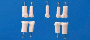 Pedo Endodontic Tooth Model [A12A Series]