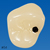 Pedo Endodontic Tooth Model  [A12A Series]