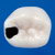 Pedo Endodontic Tooth Model  [A12A Series]