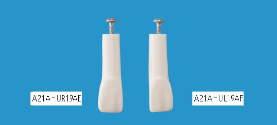 Diastema closure practice tooth models representing a severe space between the two teeth