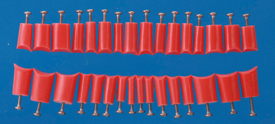Simple Root Tooth Model (Permanent Tooth) [A5A-200]