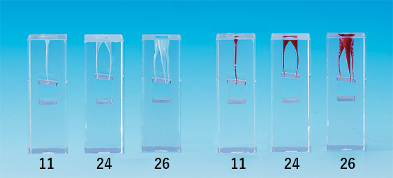 Root Canal Model  [E-END3L Series]