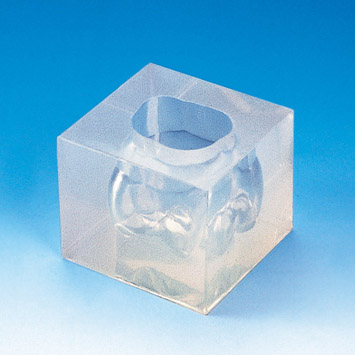 4X Size Plaster Tooth Model Mold [H4-304]