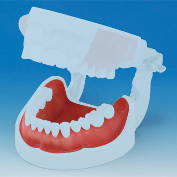 Ope-Gum Sheet  [SUG1002-T-SP]