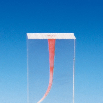 Root Canal Model  [S4 Series]