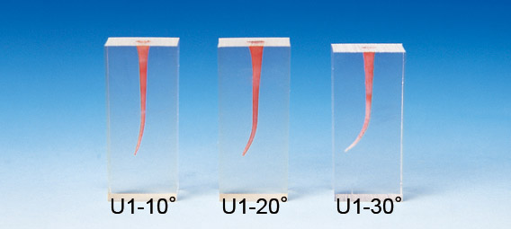 Root Canal Model  [S4 Series]