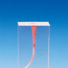 Root Canal Model [S4 Series]