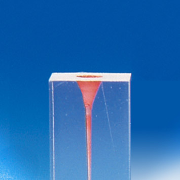 Root Canal Model  [S8 Series]