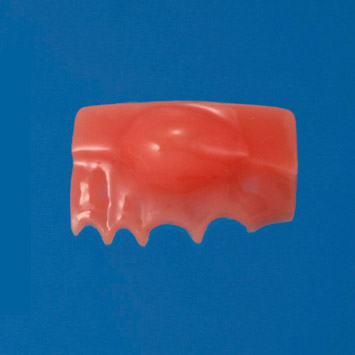 Pus Area (Left) [SUG2003-T-SP]