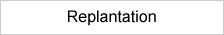 Replantation