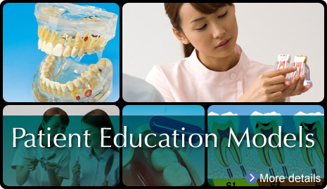 Patient Education Models