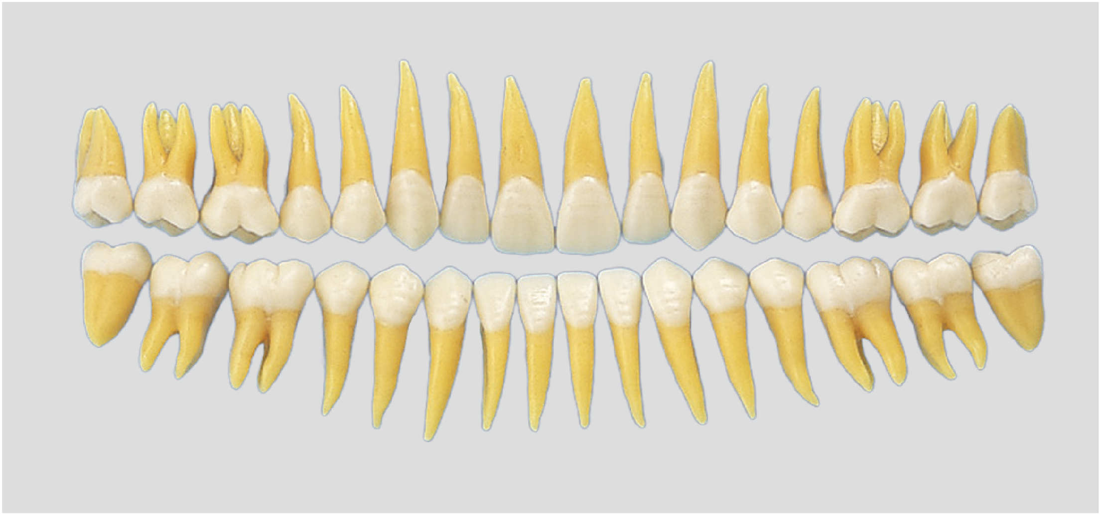 Products | Nissin Dental Products Inc. - Total Solution for Dental