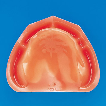 Soft Gingiva Edentulous Model [EDE1001-UL-UP-FEM]