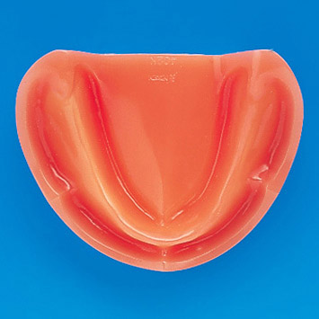 Soft Gingiva Edentulous Model [EDE1001-UL-UP-FEM]