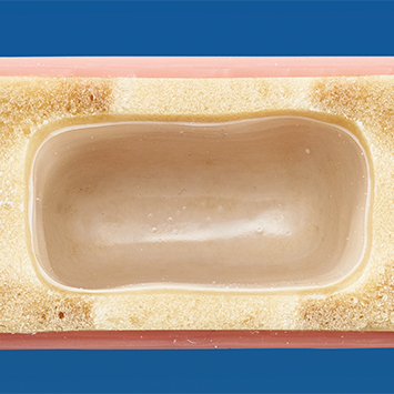 Sinus Lift Practice Model [IMP1036-T-SP]