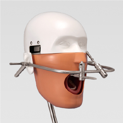 N*K様 NISSIN DENTAL MODEL 歯科教育用 NISSIM Type 2 | Nissin Dental Products Inc. - Total Solution for