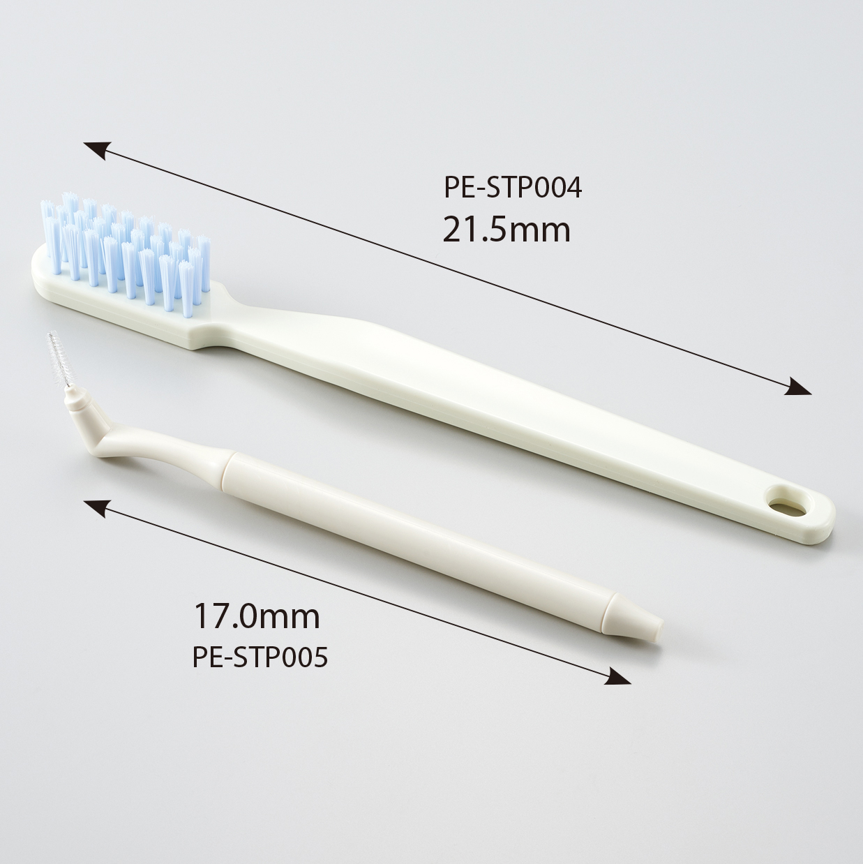 TOOTH BRUSHING DEMONSTRATION MODEL[PE-STP004] (Toothbrush), [PE-STP005] (Interdental brush)