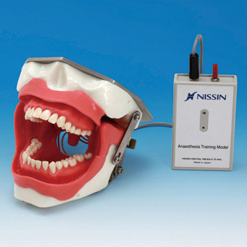 Conduction Anesthesia Model [SUG2005-UL-SP]