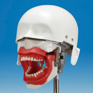 Conduction Anesthesia Model [SUG2005-UL-SP]