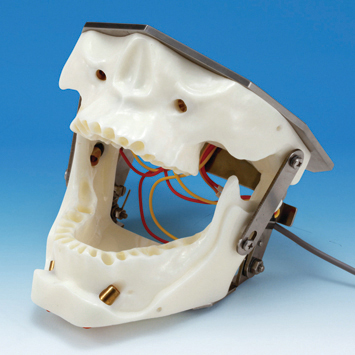 Conduction Anesthesia Model [SUG2005-UL-SP]