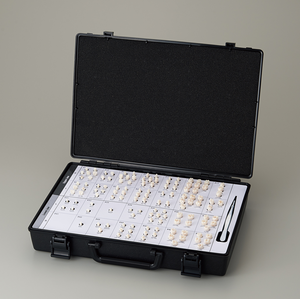 Abutment, Cavity Preparation Tooth Model [A21AN Series & A25AN Series]