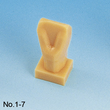 Tooth Carving Step Model Kit [C11-TU.1]