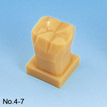 Tooth Carving Step Model Kit [C11-TU.1]